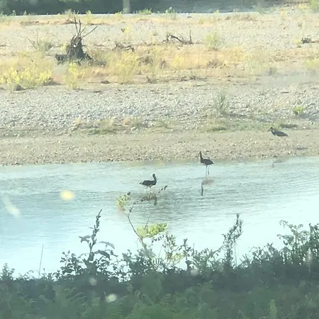 مكان تخييم Shtepez Gjirokastër