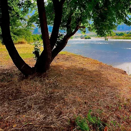 Shtepez * Gjirokastër