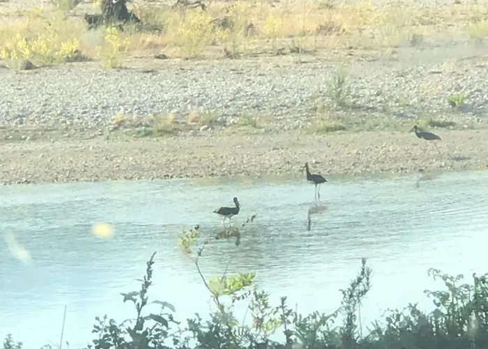 مكان تخييم Shtepez Gjirokastër