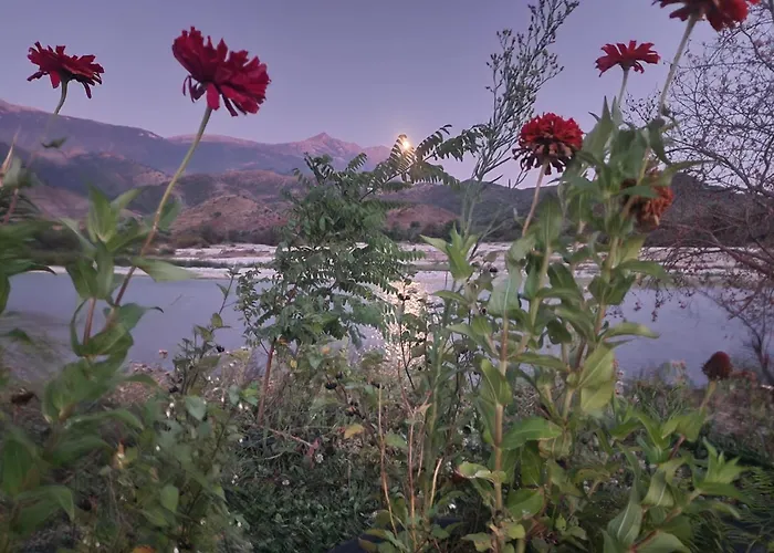 مكان تخييم Shtepez Gjirokastër